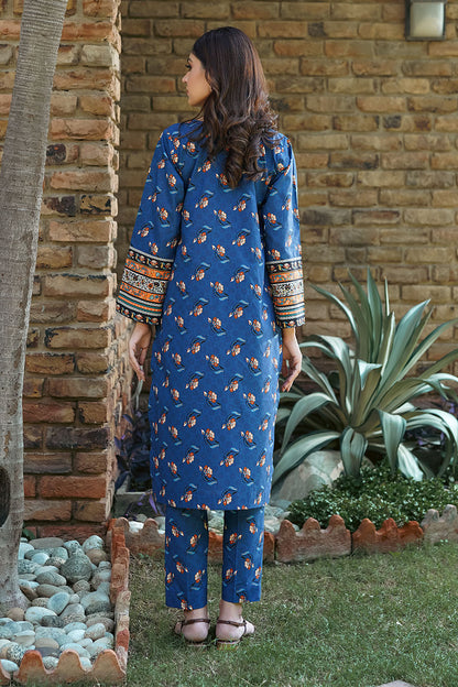 PALVASHA | Stitched 2 pcs | CAMBRIC