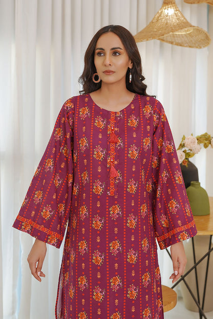 RAISA | Stitched 2 pcs | Khaddar