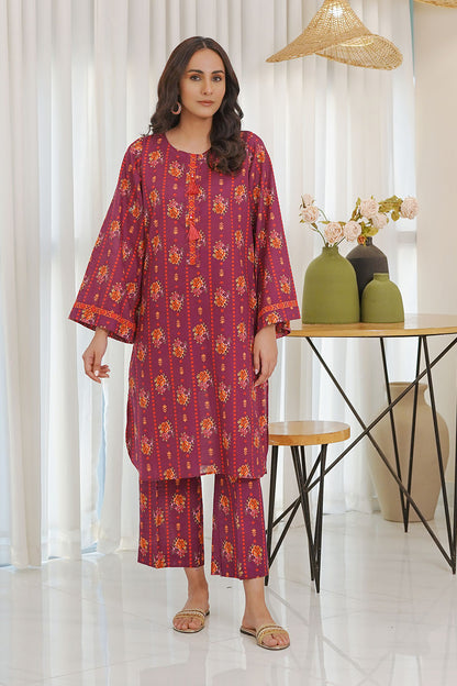 RAISA | Stitched 2 pcs | Khaddar