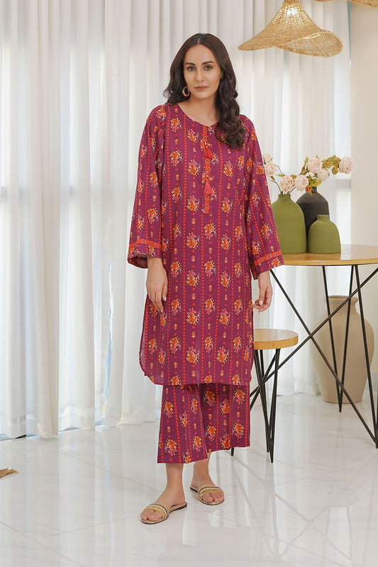 RAISA | Stitched 2 pcs | Khaddar